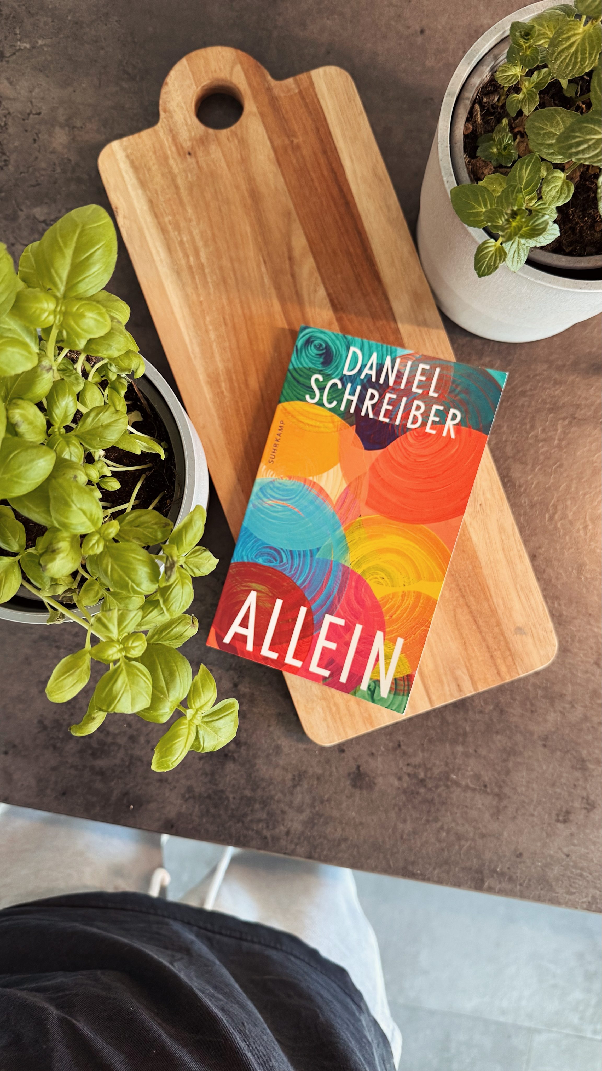 Allein - Daniel Schreiber