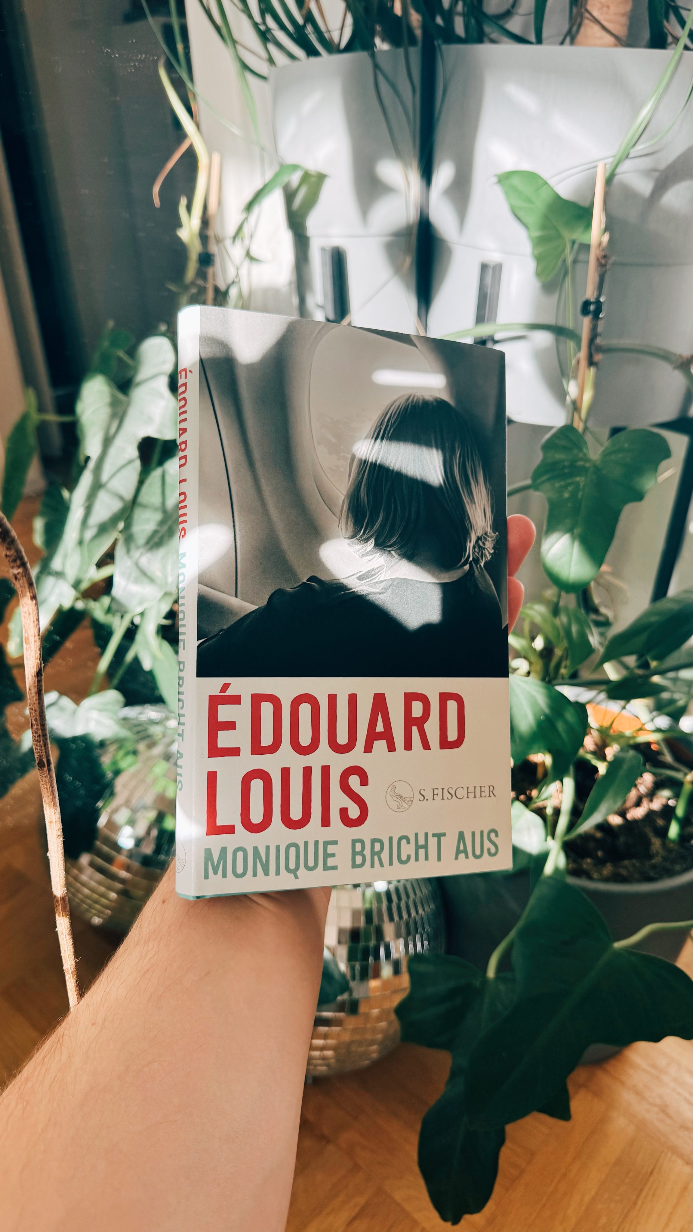Monique bricht aus - Édouard Louis