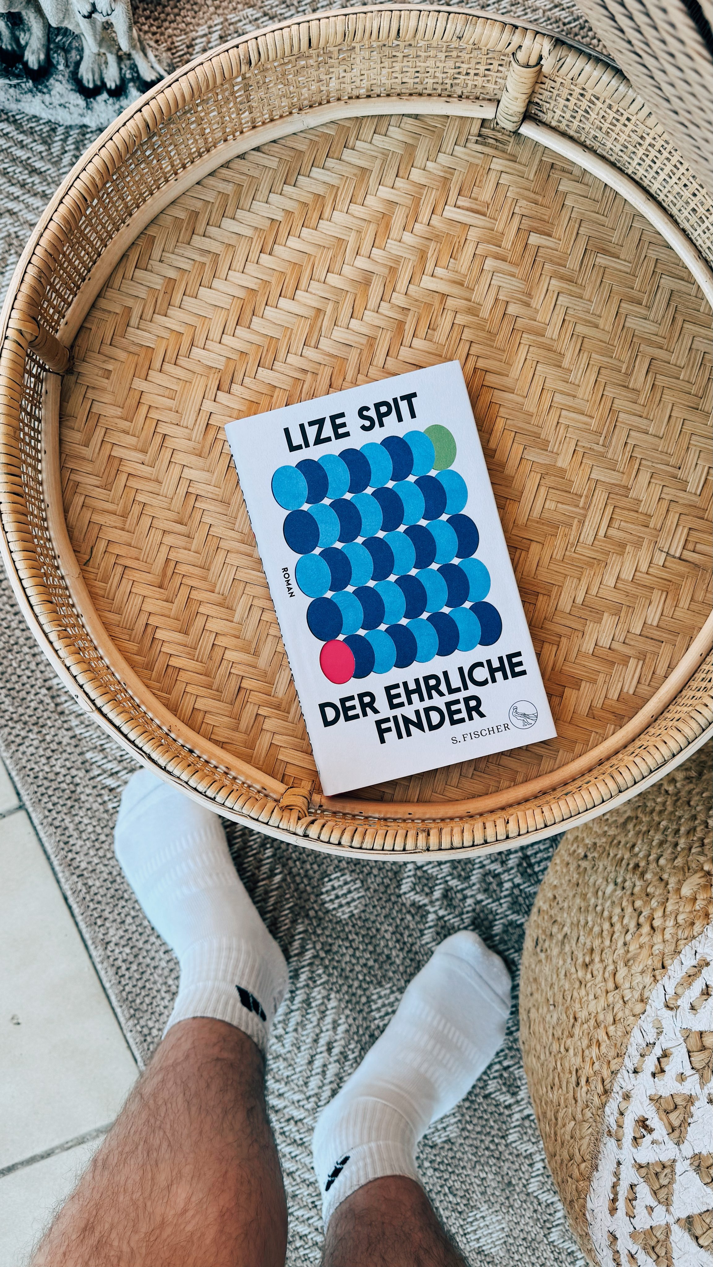 Der ehrliche Finder - Lize Spit