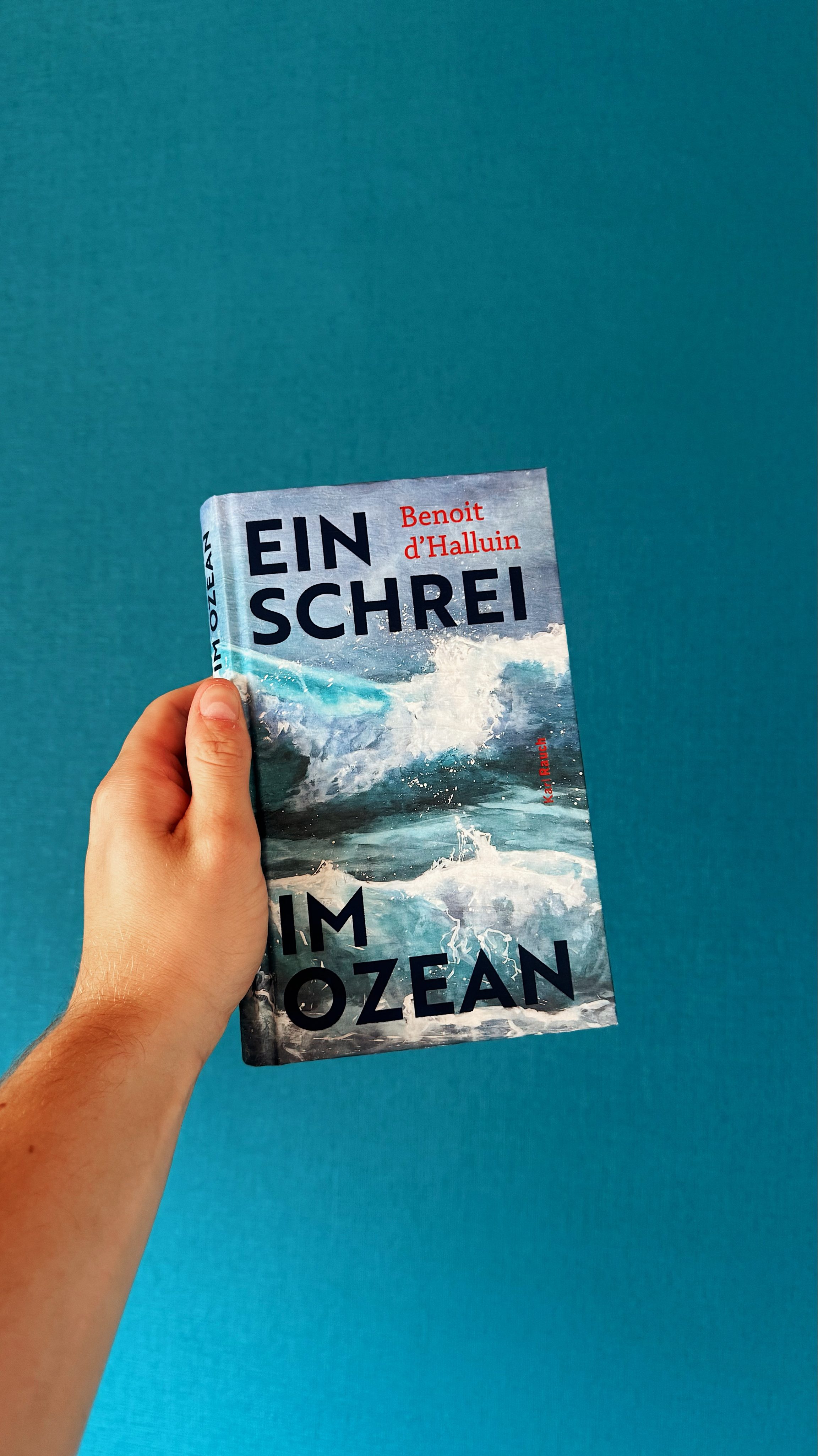 Ein Schrei im Ozean - Benoit d'Halluin