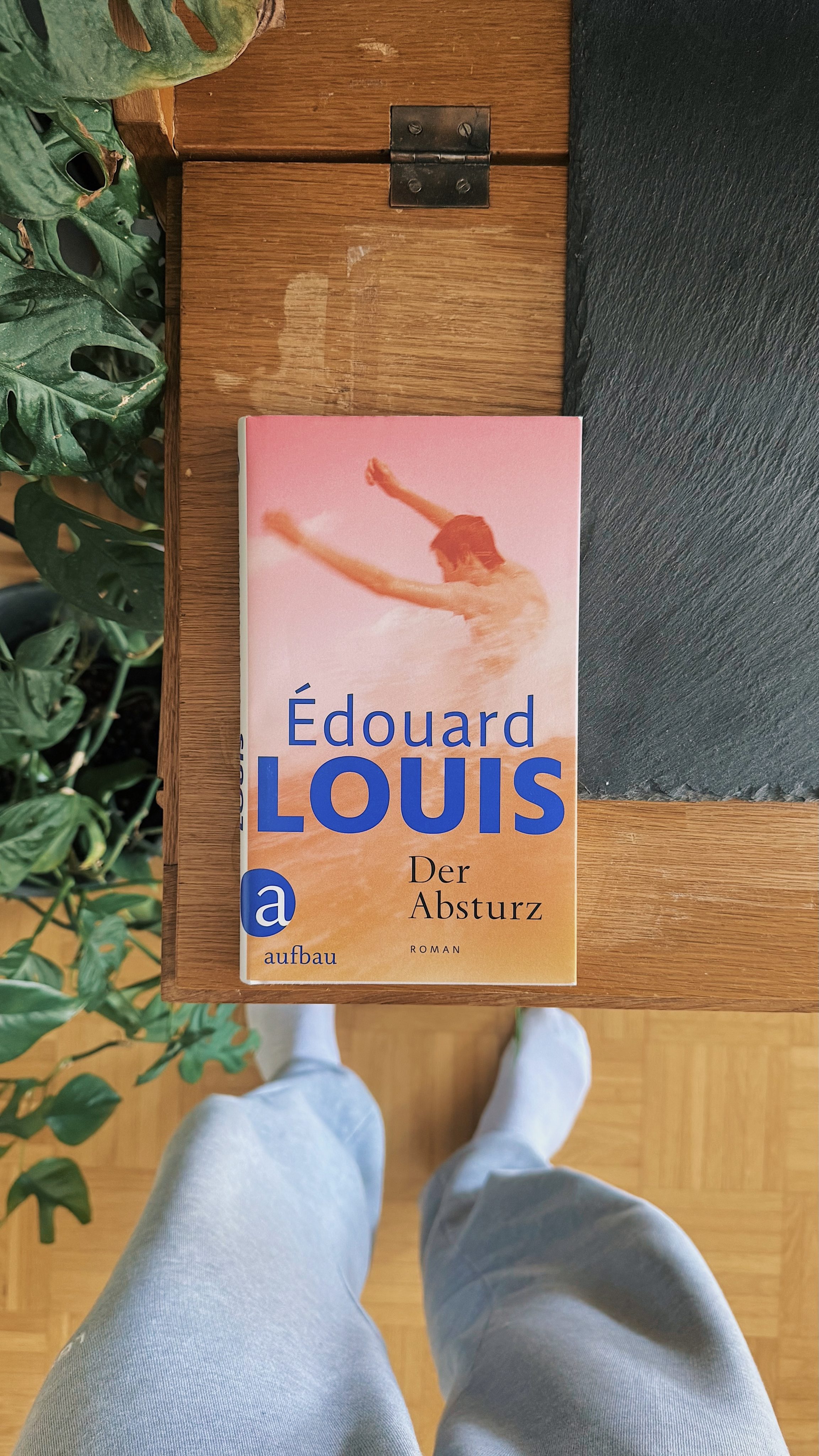 Der Absturz - Édouard Louis